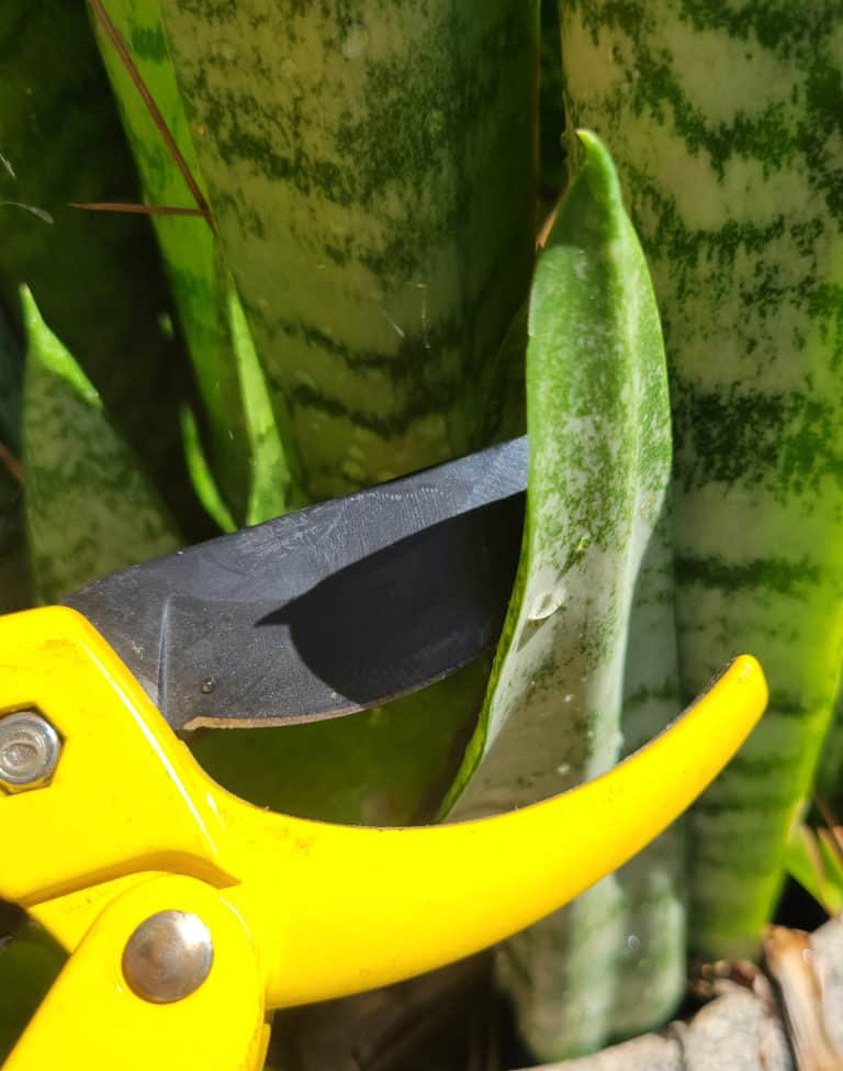 proplifting